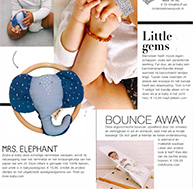 Fabulous Mama – Evolux Bouncer