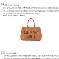 Blogzine Mommy Bag