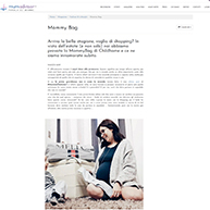 Mum Advisor Mommy Bags